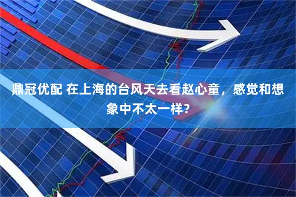 鼎冠优配 在上海的台风天去看赵心童，感觉和想象中不太一样？