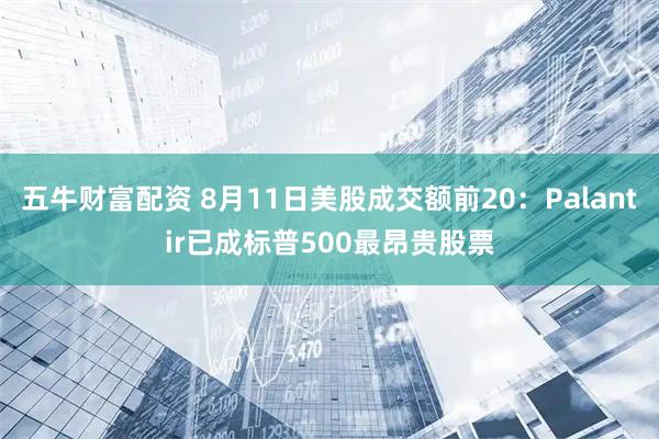 五牛财富配资 8月11日美股成交额前20：Palantir已成标普500最昂贵股票