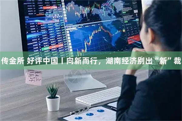 传金所 好评中国丨向新而行，湖南经济别出“新”裁
